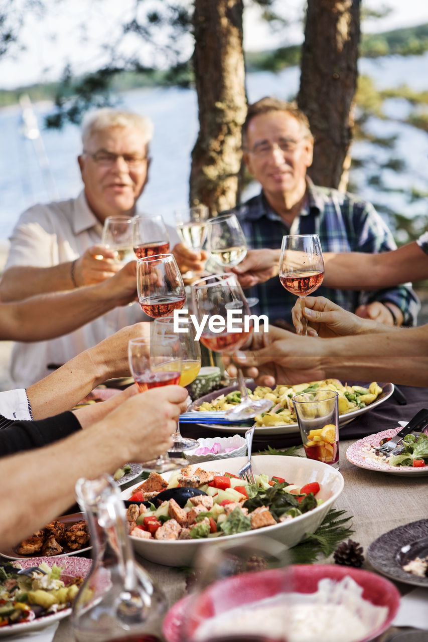 People toasting during meal