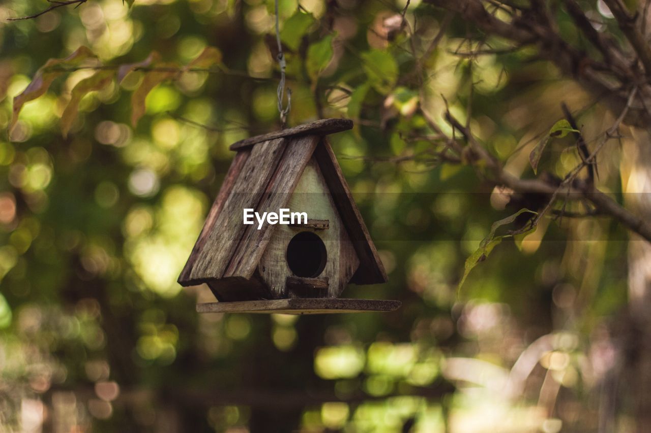 CLOSE-UP OF BIRDHOUSE HANGING ON TREE TRUNK
