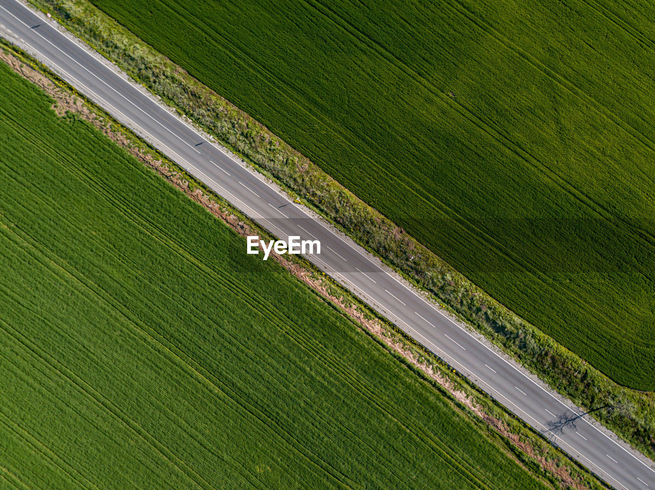 HIGH ANGLE VIEW OF FARM ROAD