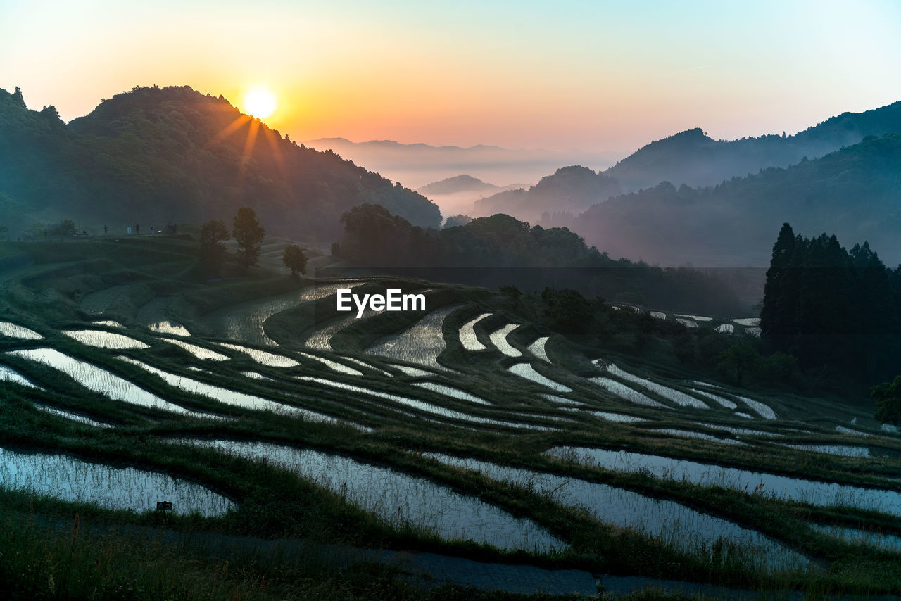 Scenic view of terraced fields against sky during sunset