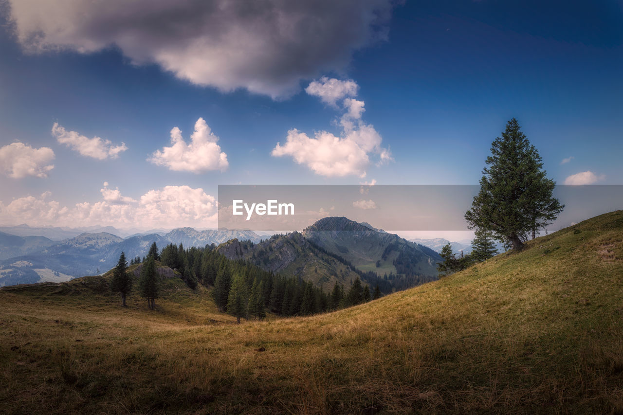 SCENIC VIEW OF TREES AND MOUNTAINS AGAINST SKY