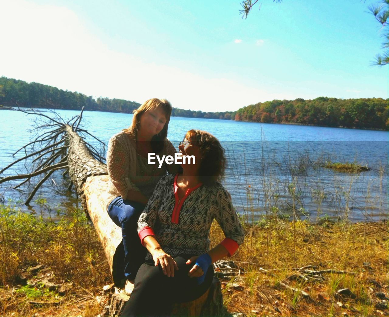 Friends sitting on fallen tree at lakeshore against sky