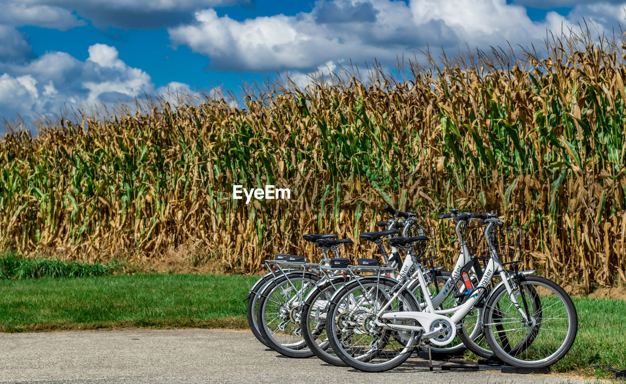 BICYCLES ON FIELD