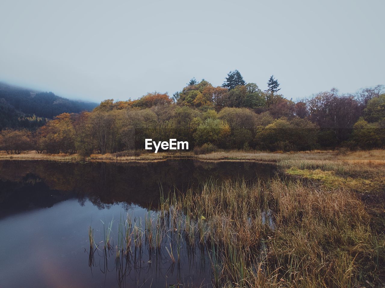 SCENIC VIEW OF LAKE BY TREES AGAINST SKY