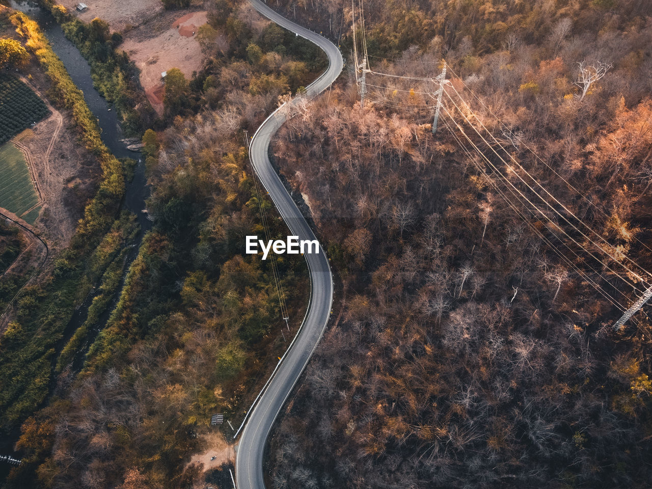 High angle view of road amidst trees