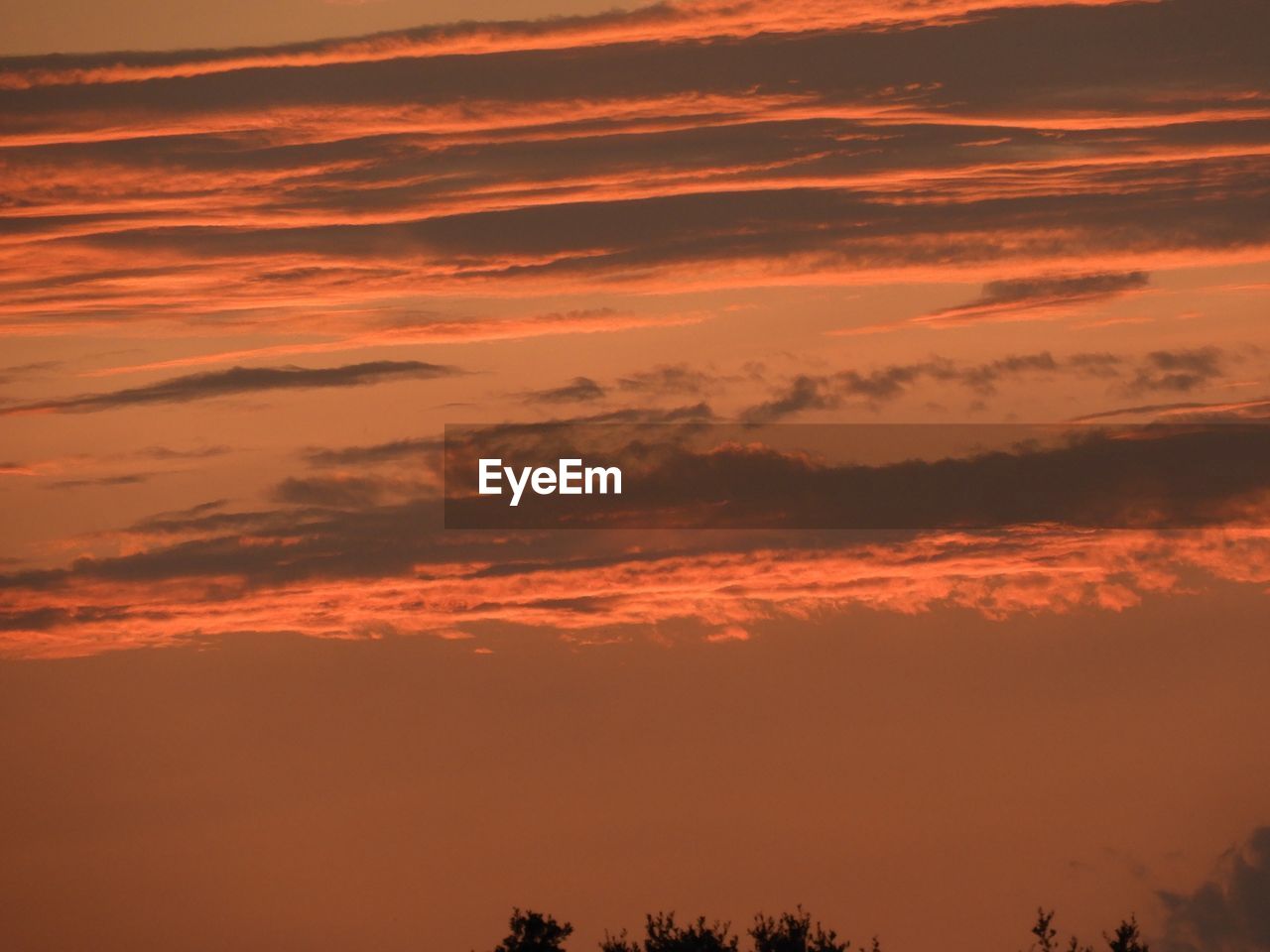 LOW ANGLE VIEW OF SKY DURING SUNSET