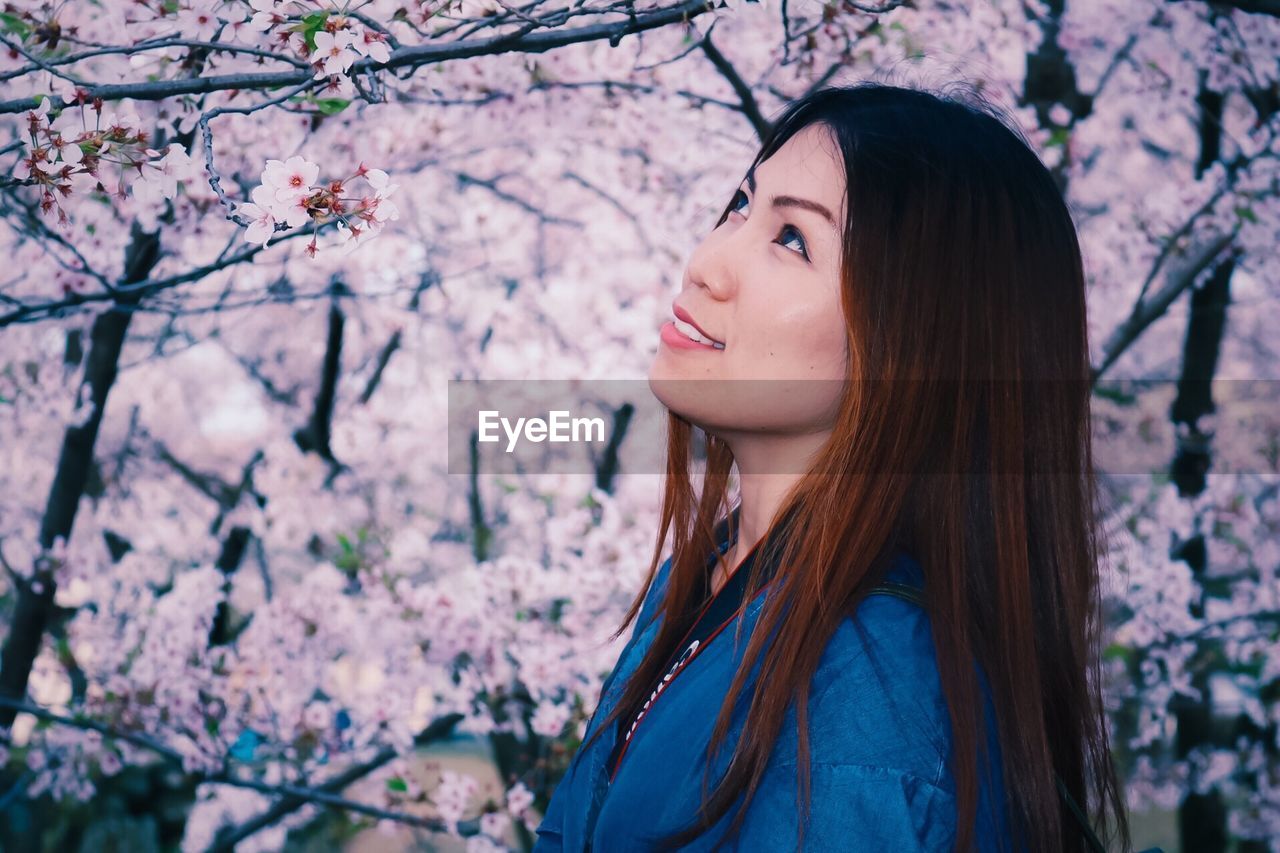 Side view of beautiful woman standing against cherry blossom tree