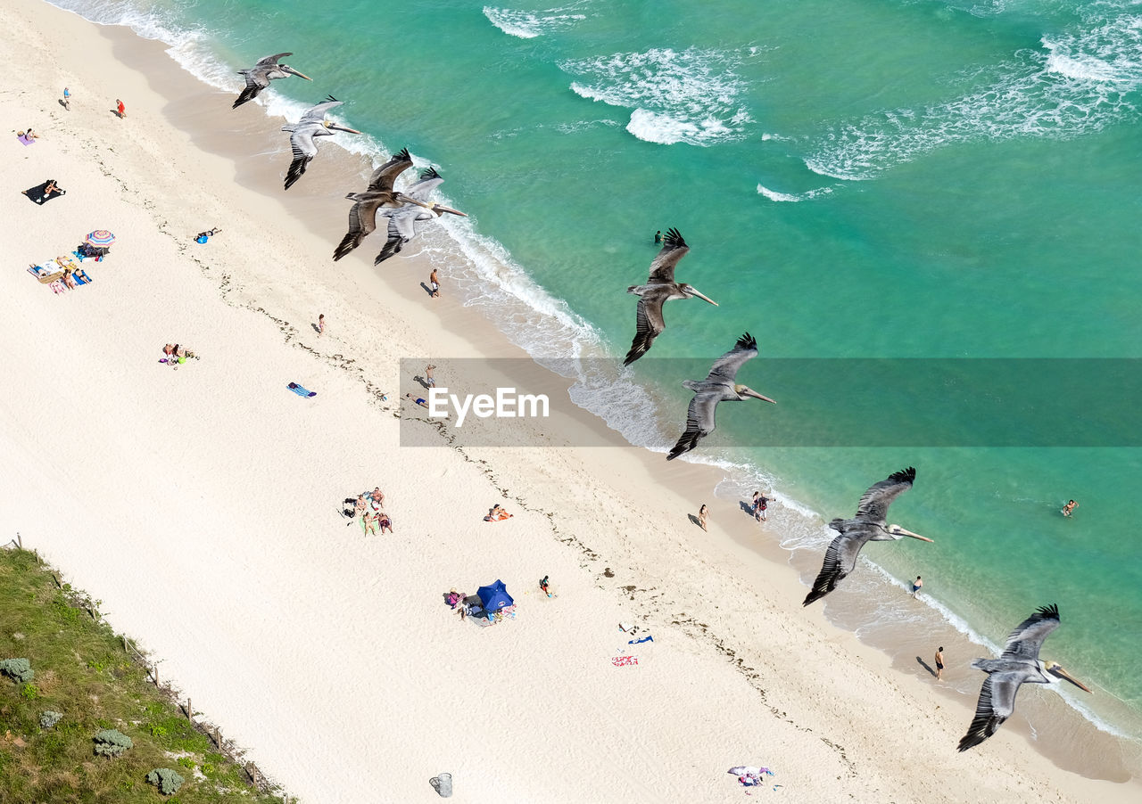 High angle view of birds flying over sea