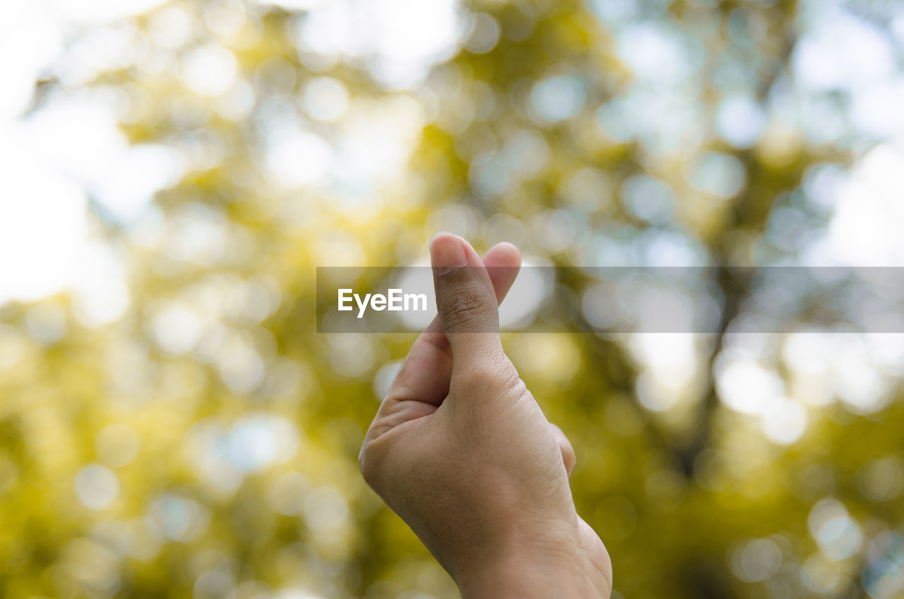 Cropped image of hand snapping against tree