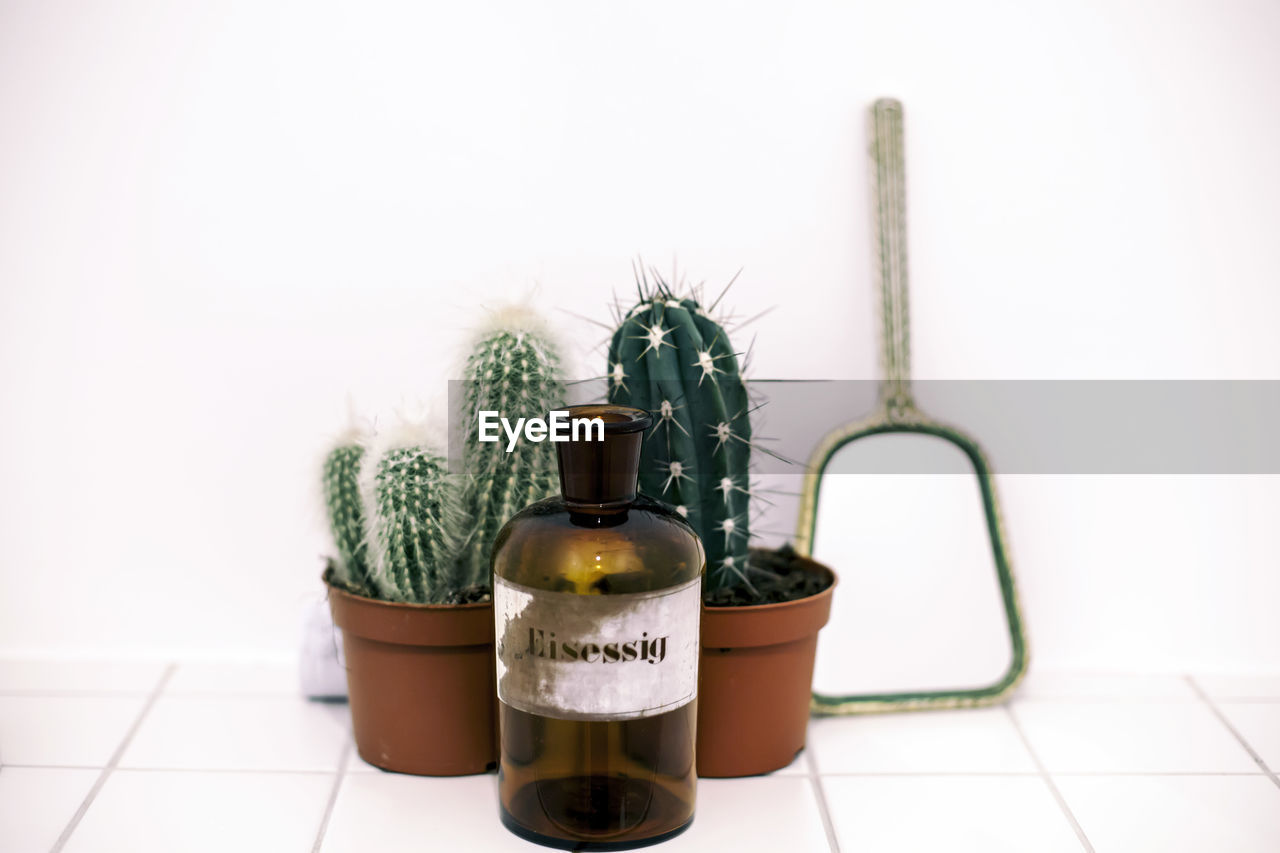 Bottle and potted cactuses by mirror on tiled floor