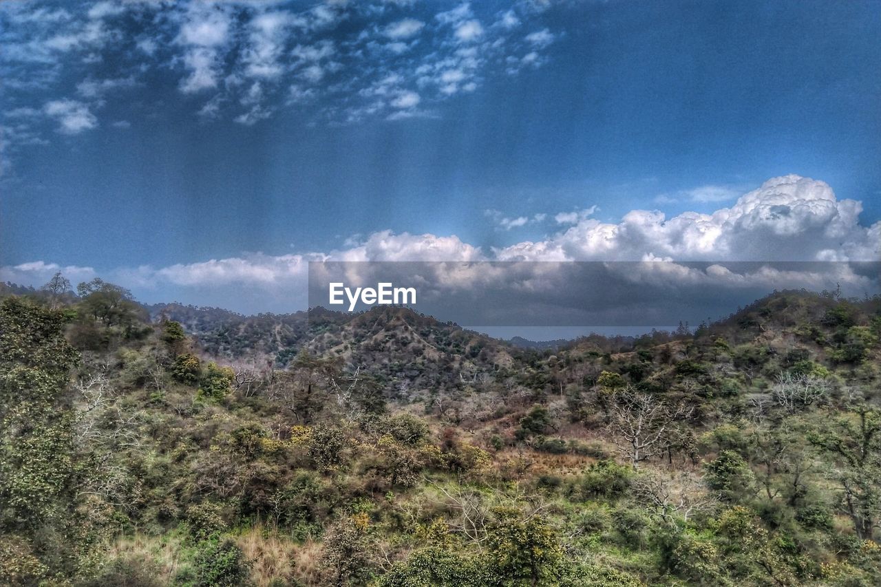 SCENIC VIEW OF LAND AGAINST SKY