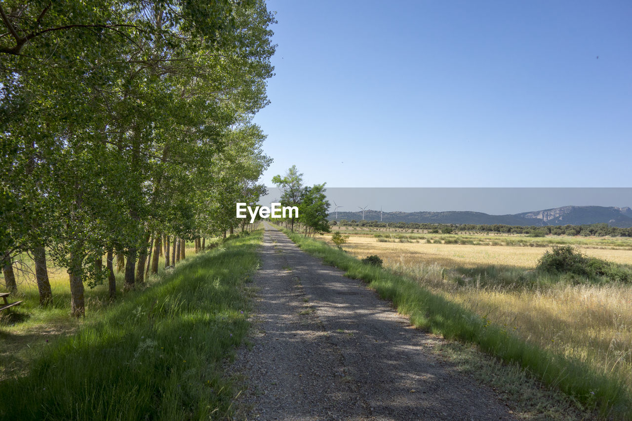 Road amidst field against clear sky