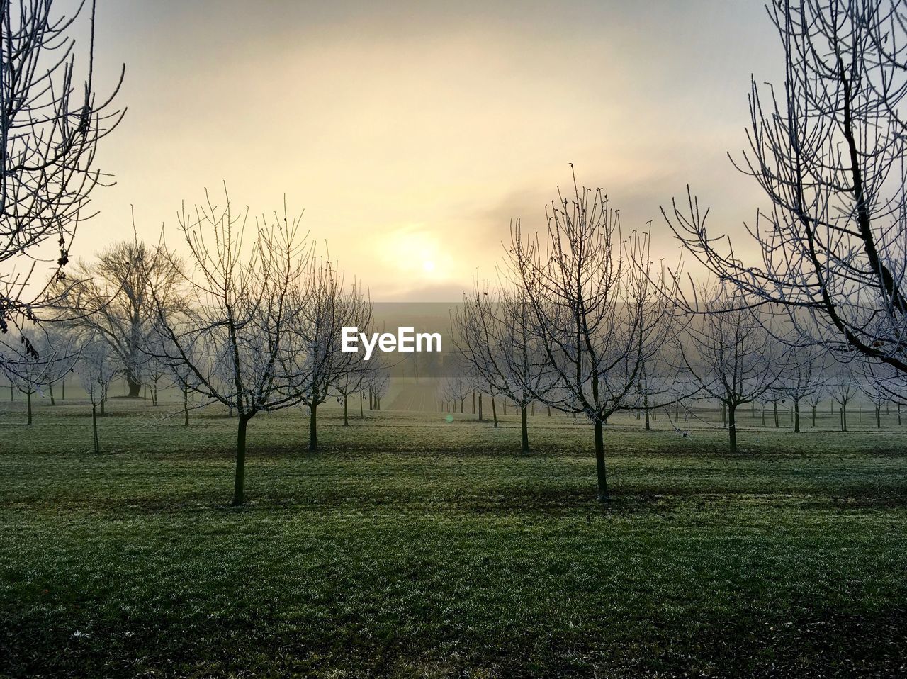 SCENIC VIEW OF FIELD AGAINST SKY DURING SUNSET