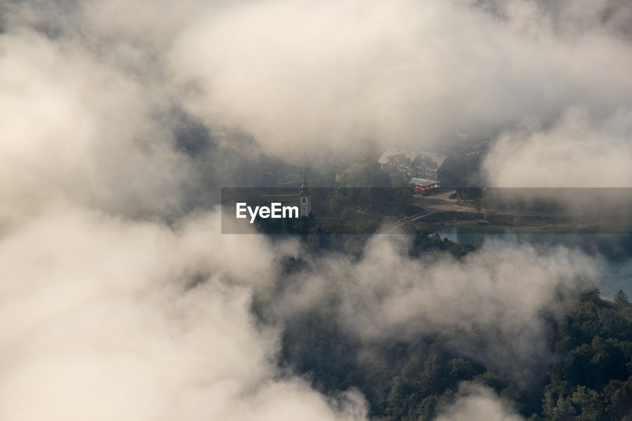 Serial view of smoke against tree