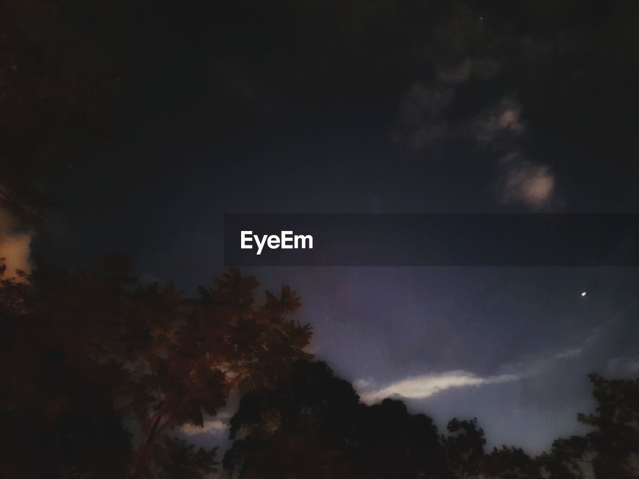 LOW ANGLE VIEW OF SILHOUETTE TREE AGAINST SKY AT NIGHT