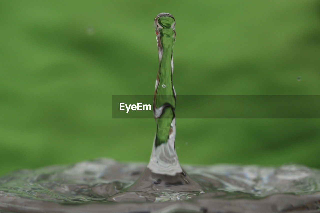 CLOSE-UP OF WATER DROP FALLING ON LEAF