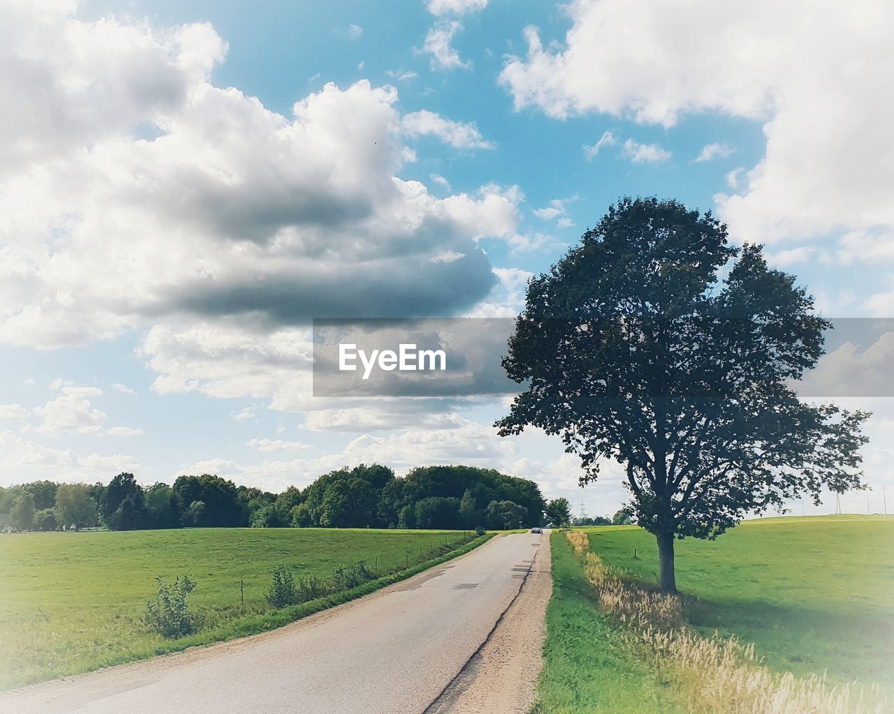 ROAD AMIDST TREES AGAINST SKY