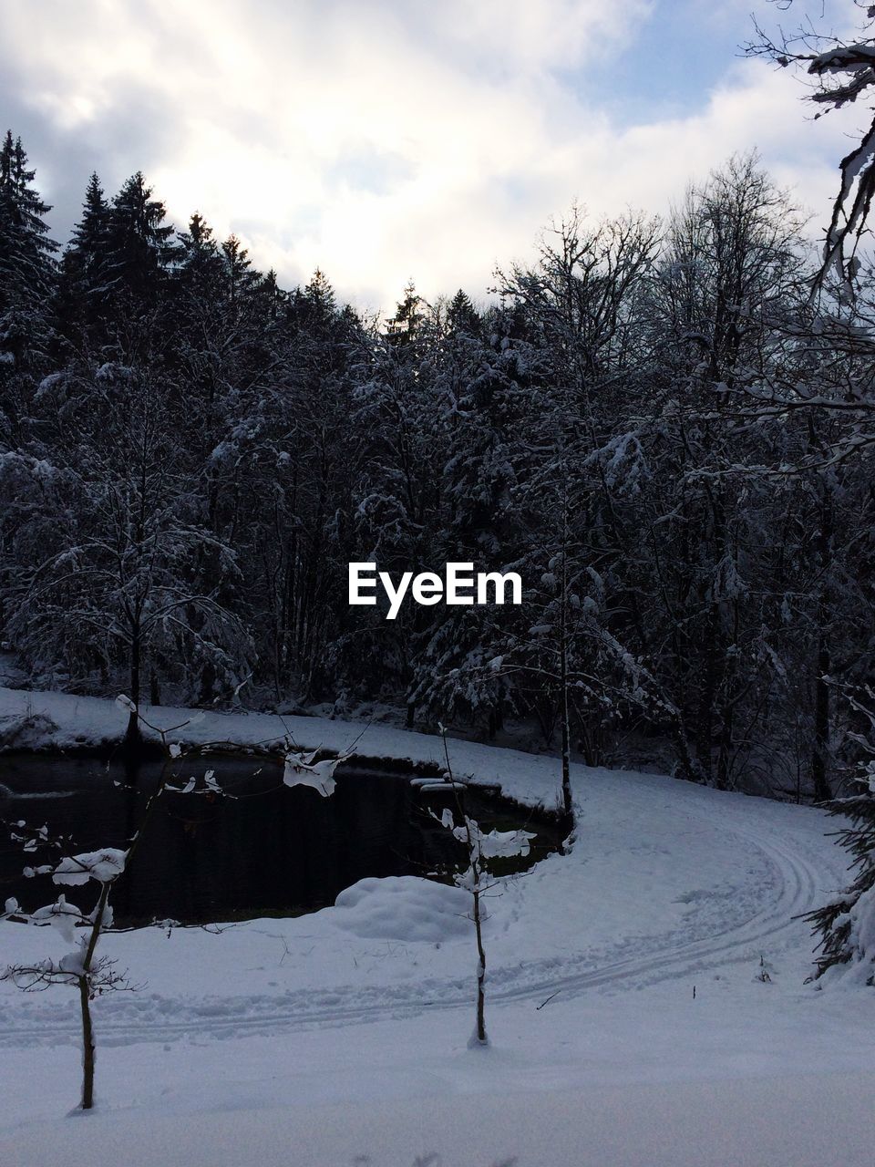 SNOW COVERED LANDSCAPE AGAINST SKY