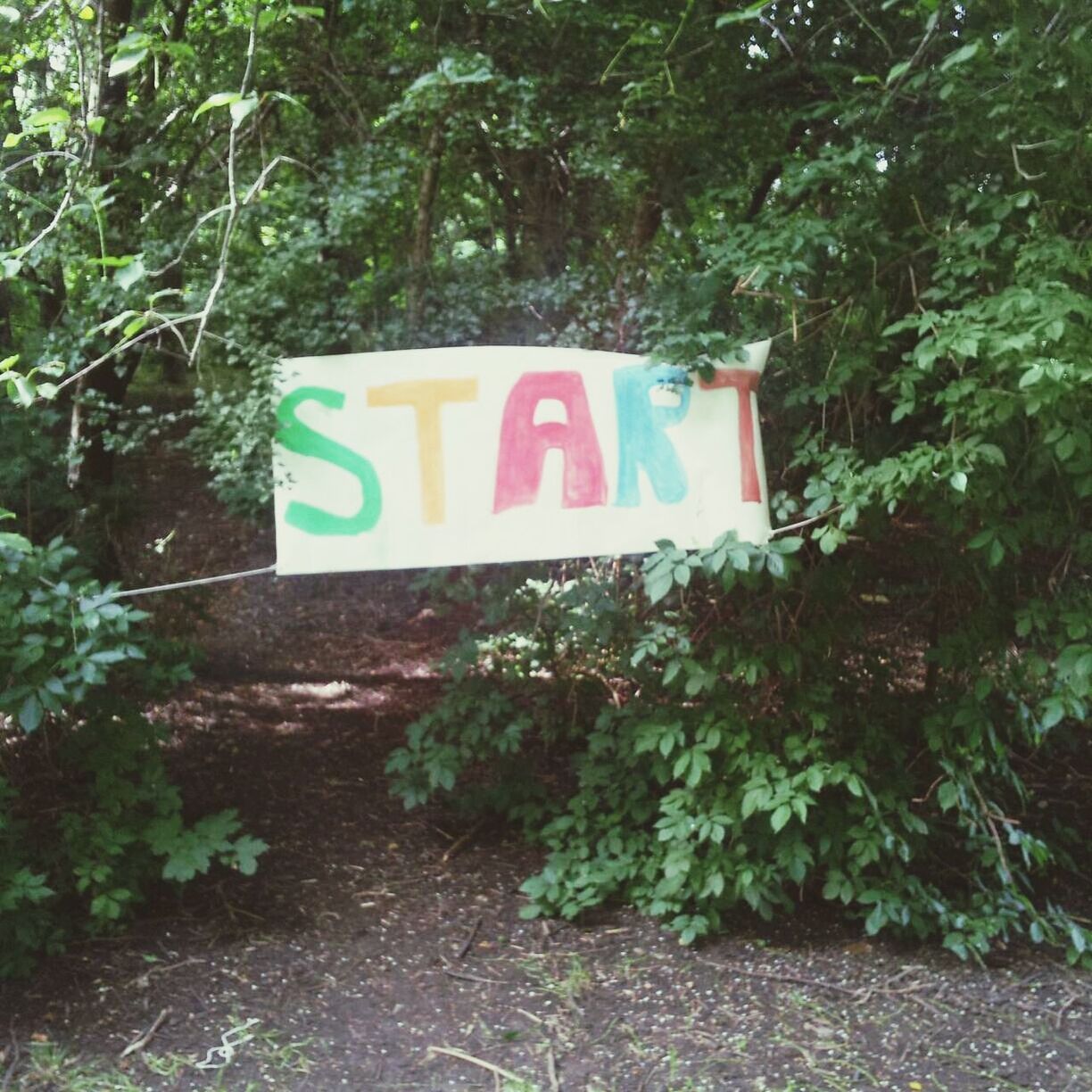 Hand painted sign hanging from tree with the word start written on it