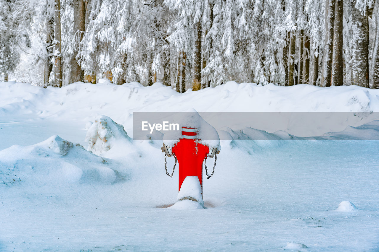 Fire hydrant in snow against winter forest