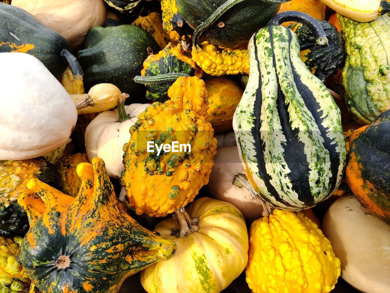 High angle view of pumpkins for sale at market stall