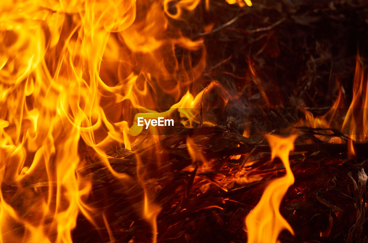 burning, fire, flame, heat, nature, no people, orange color, campfire, close-up, yellow, bonfire, motion, wood, communication, sign, backgrounds, glowing, fireplace, night, font, warning sign, camping, log, outdoors