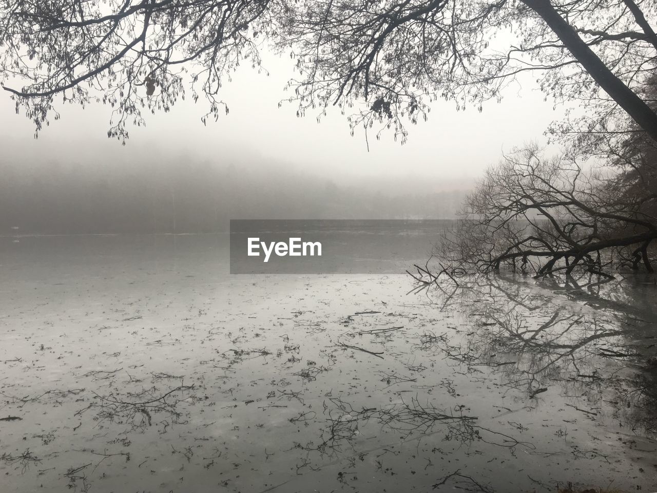 SCENIC VIEW OF LAKE BY TREES DURING WINTER