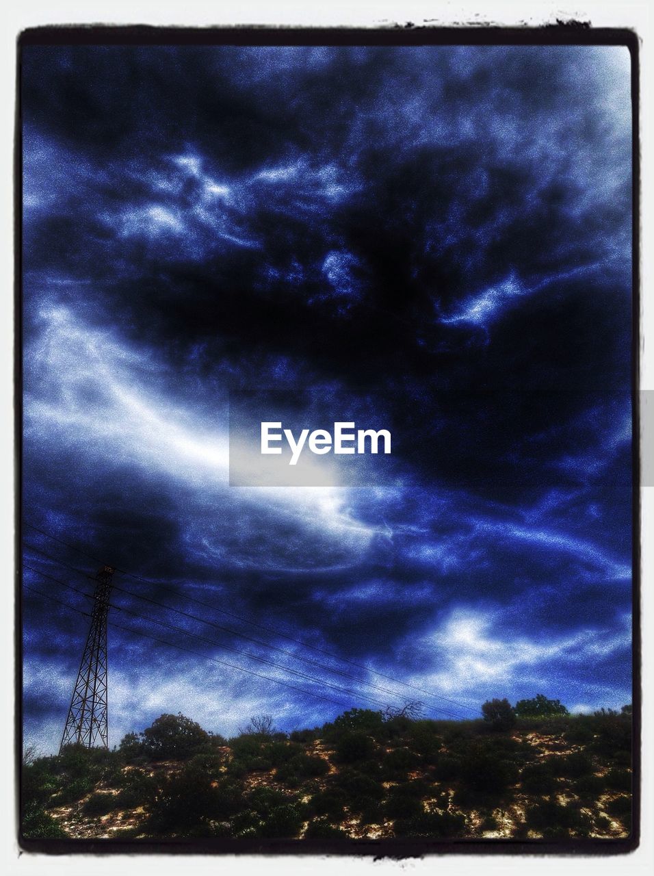 SILHOUETTE OF TREES AGAINST CLOUDY SKY