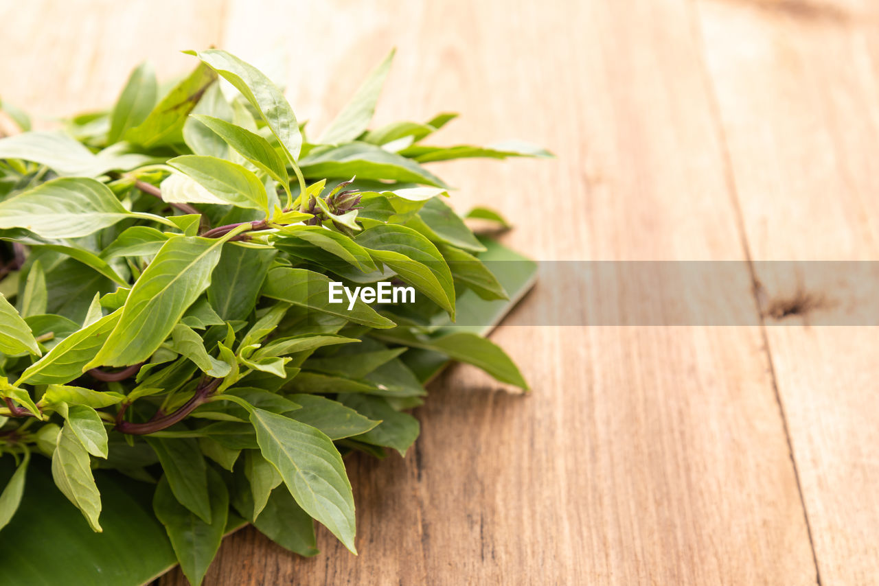 food and drink, food, leaf, wood, plant part, freshness, plant, green, wellbeing, healthy eating, herb, no people, produce, indoors, nature, basil, vegetable, ingredient, close-up, studio shot, spice, table, flower, copy space