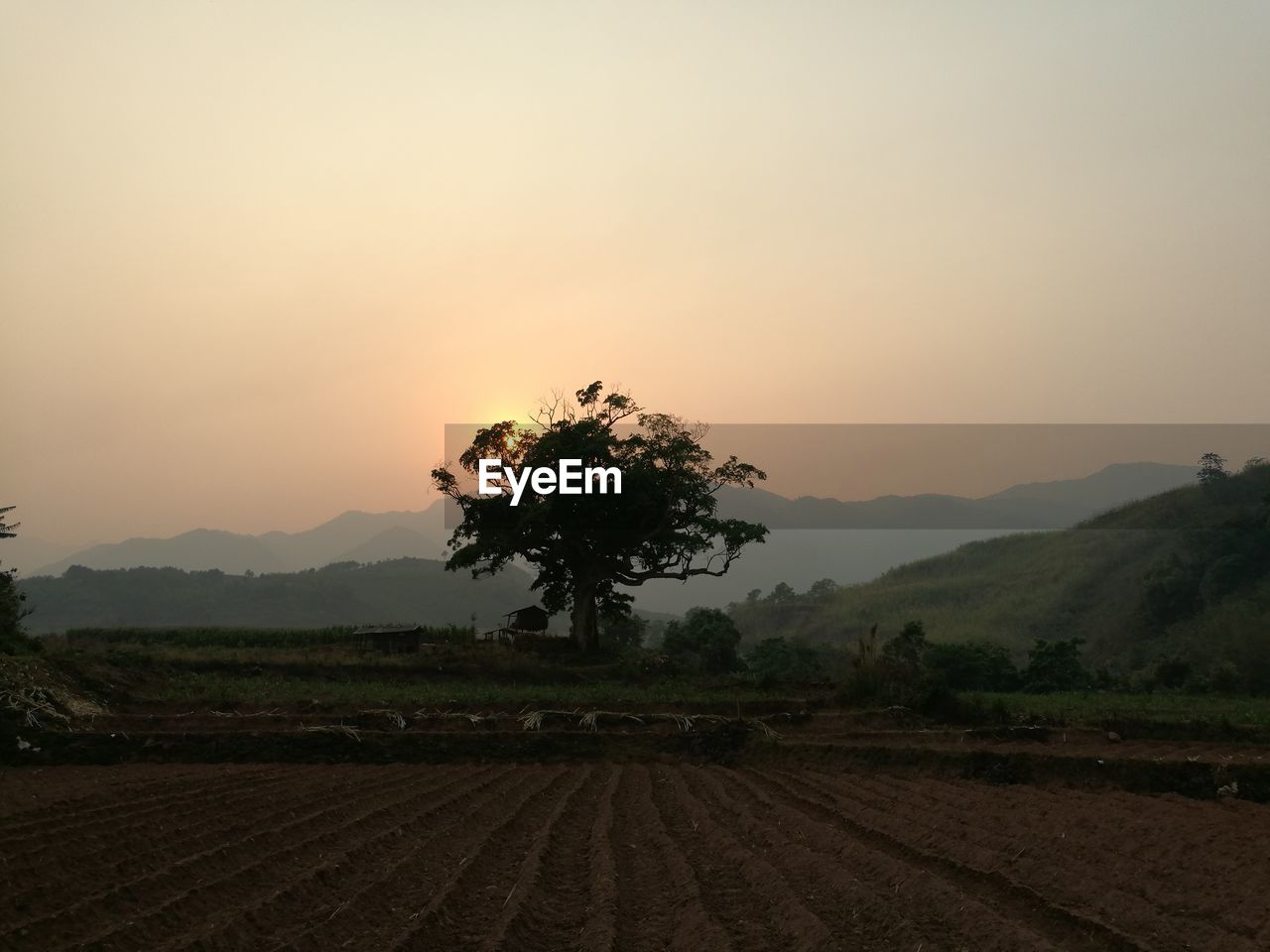 SCENIC VIEW OF AGRICULTURAL FIELD