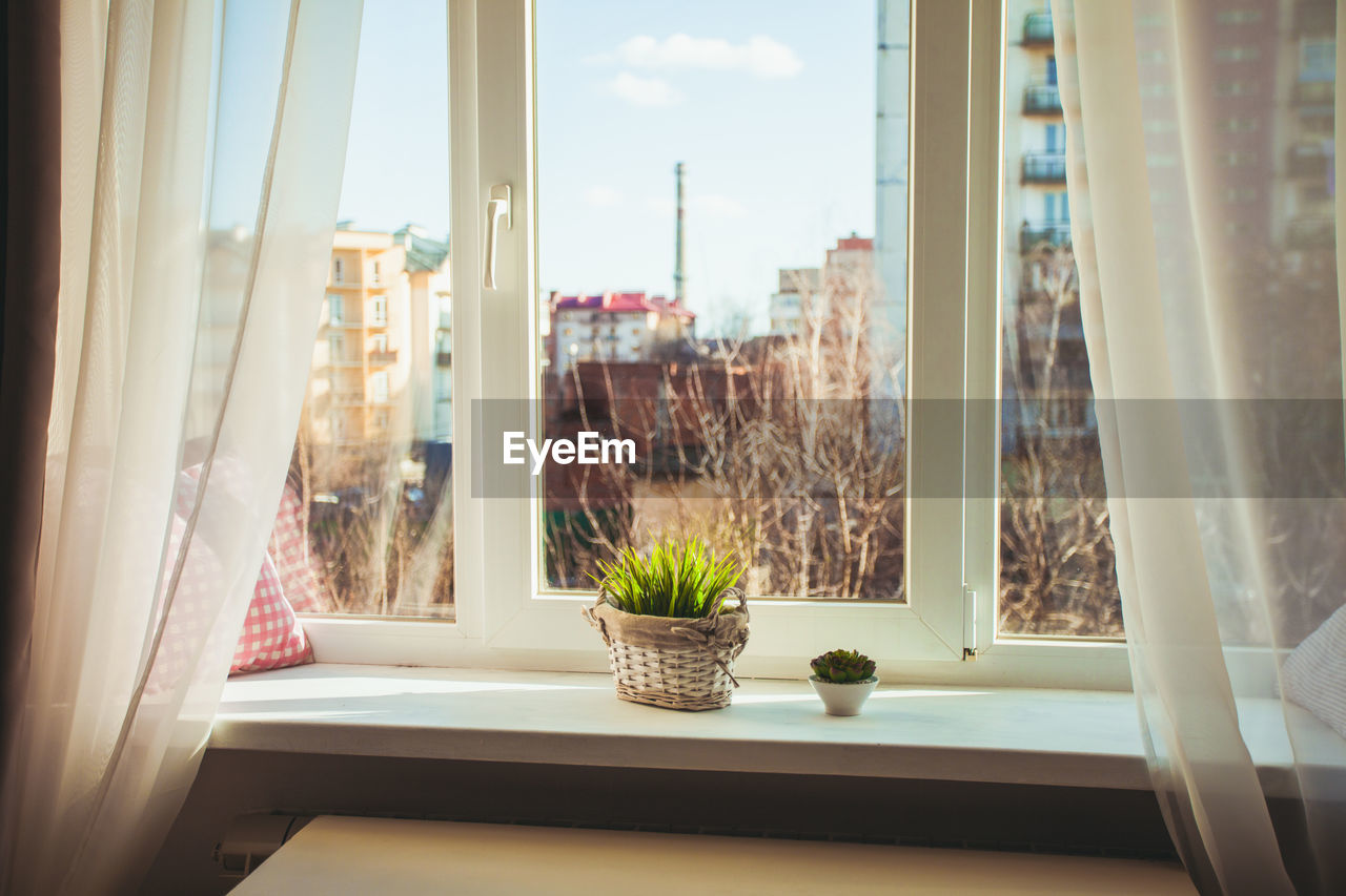 CLOSE-UP OF POTTED PLANT ON WINDOW SILL