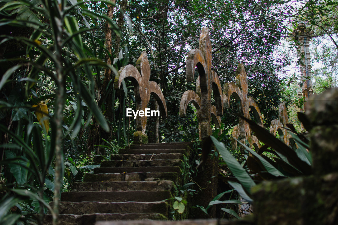 Low angle view of staircase in forest