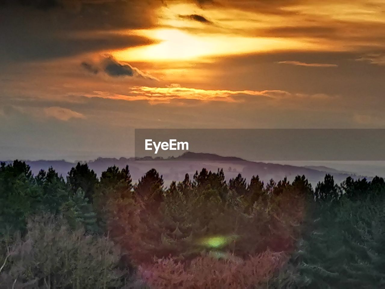 TREES ON LANDSCAPE AGAINST SKY AT SUNSET