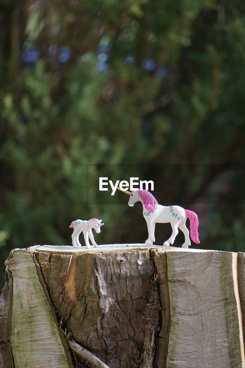 View of an animal representation on tree stump unicorns
