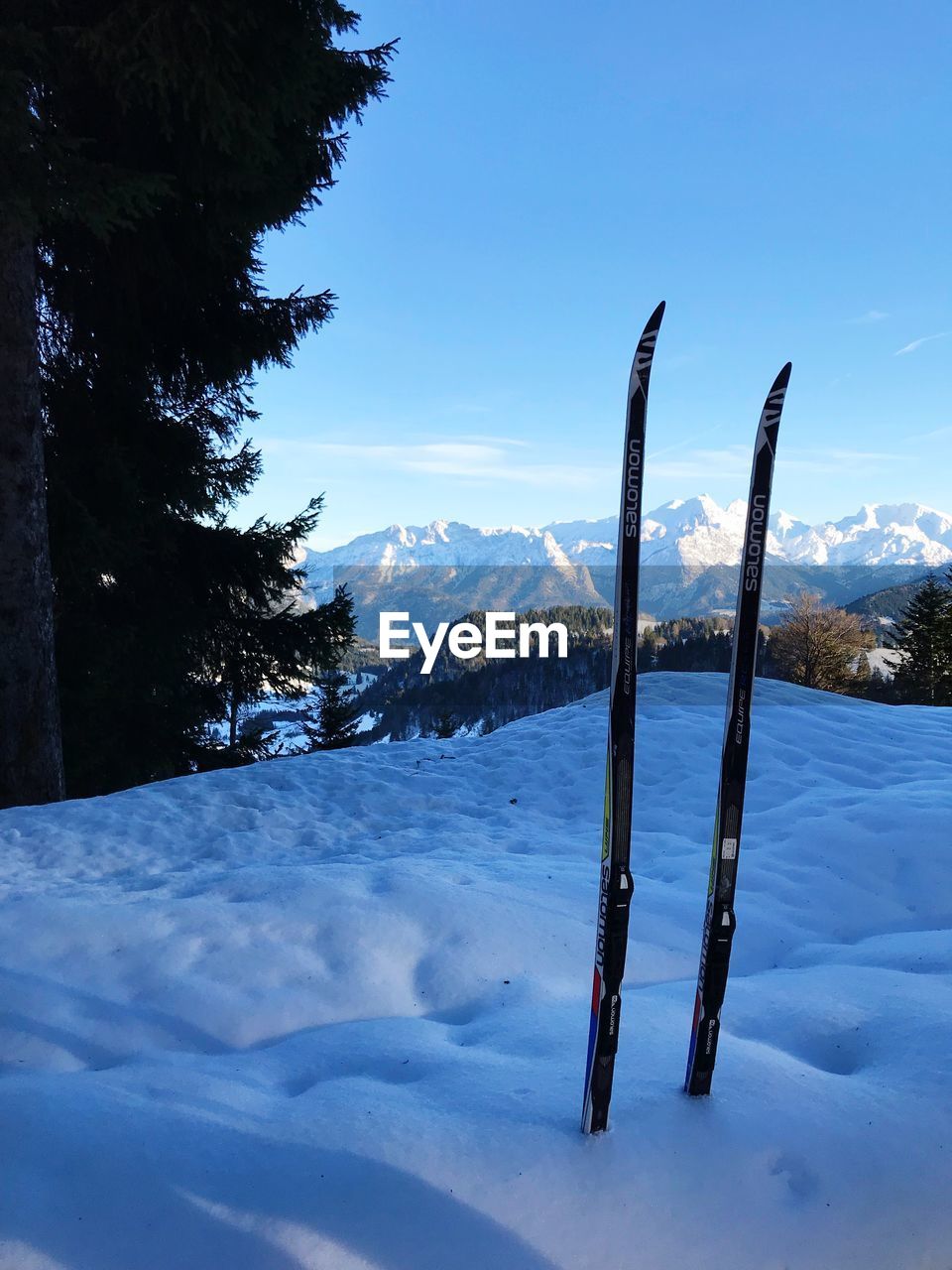 SCENIC VIEW OF TREE MOUNTAINS AGAINST BLUE SKY