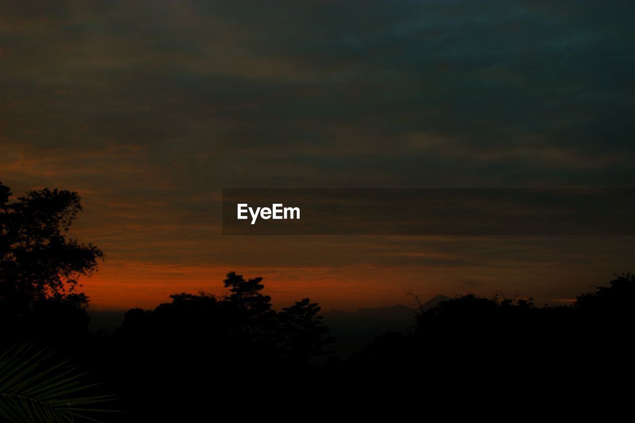 SCENIC VIEW OF SILHOUETTE TREES AGAINST SKY DURING SUNSET