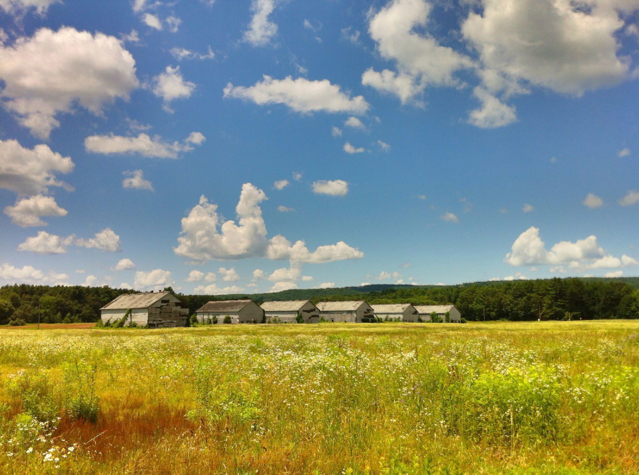 Countryside houses at distance on landscape
