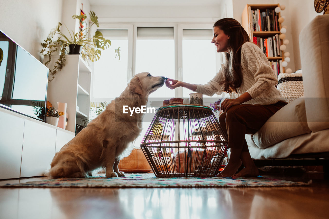 Side view of woman feeding dog while sitting on sofa