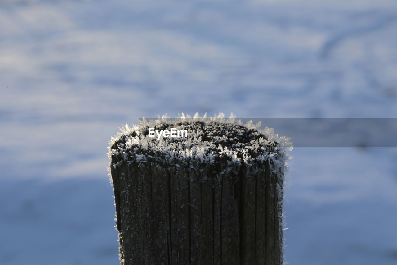 Close-up of wooden post on snow