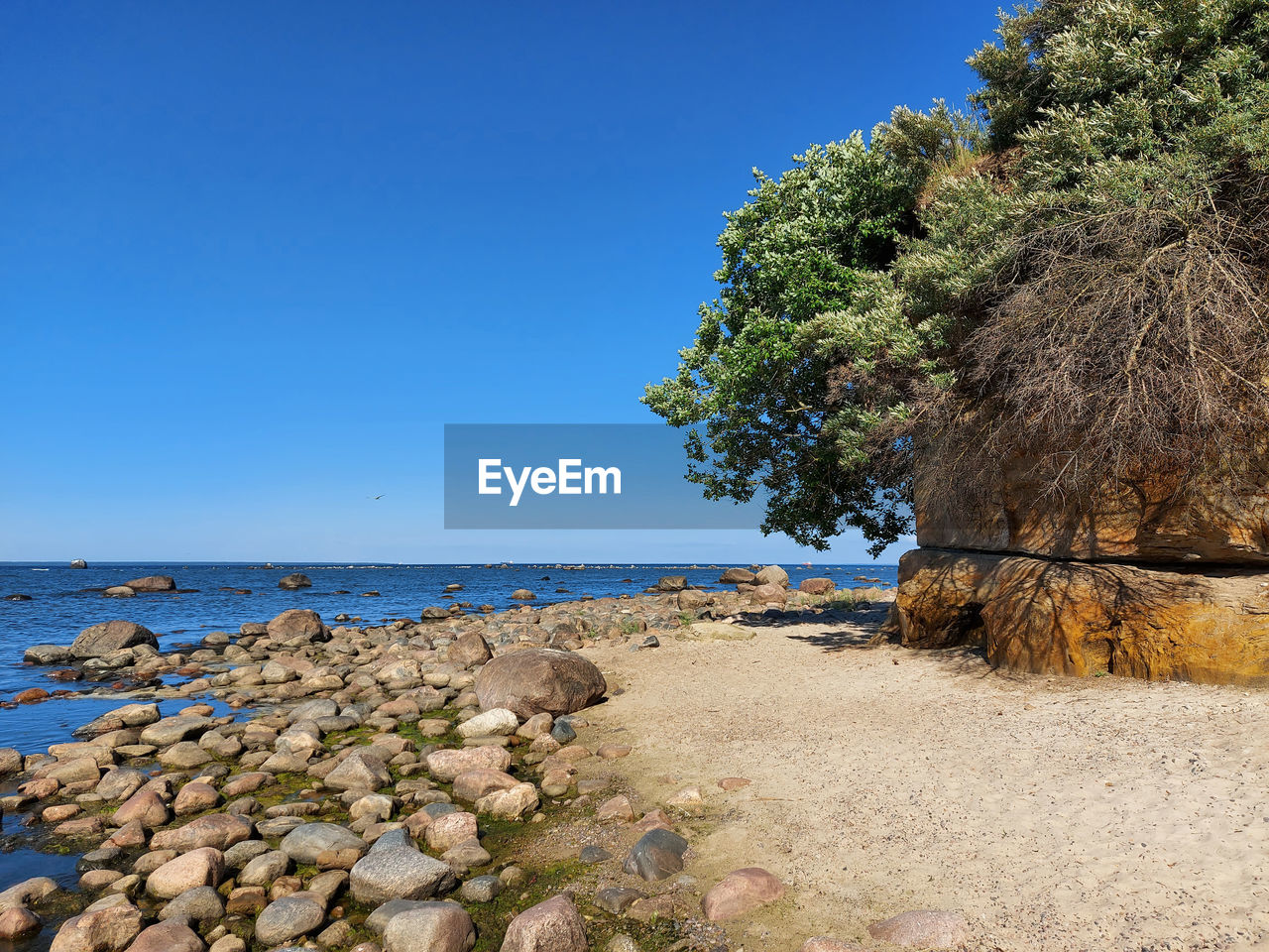 The baltic sea coast