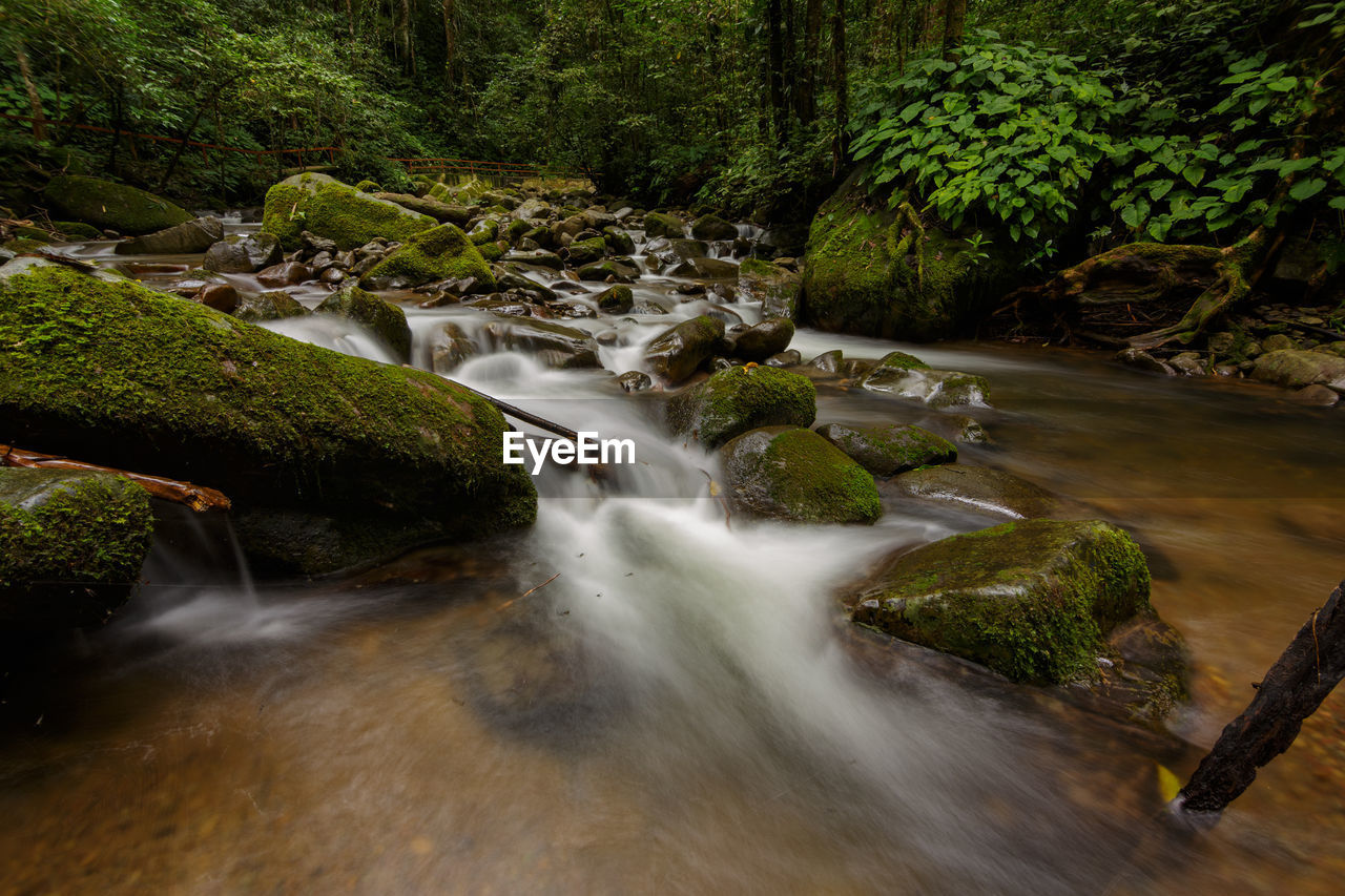 RIVER FLOWING THROUGH ROCKS IN FOREST