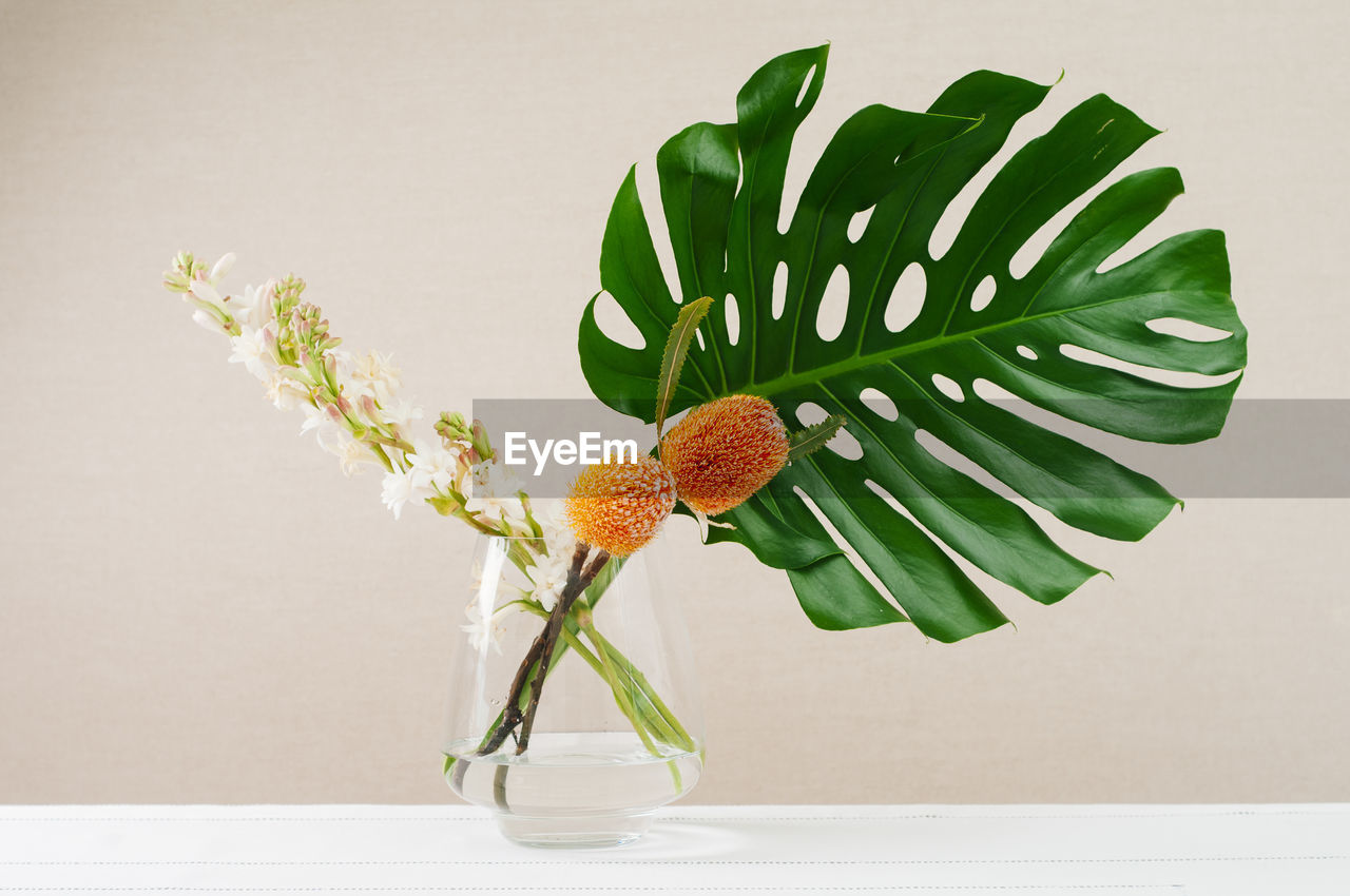 CLOSE-UP OF VASE AGAINST WHITE BACKGROUND