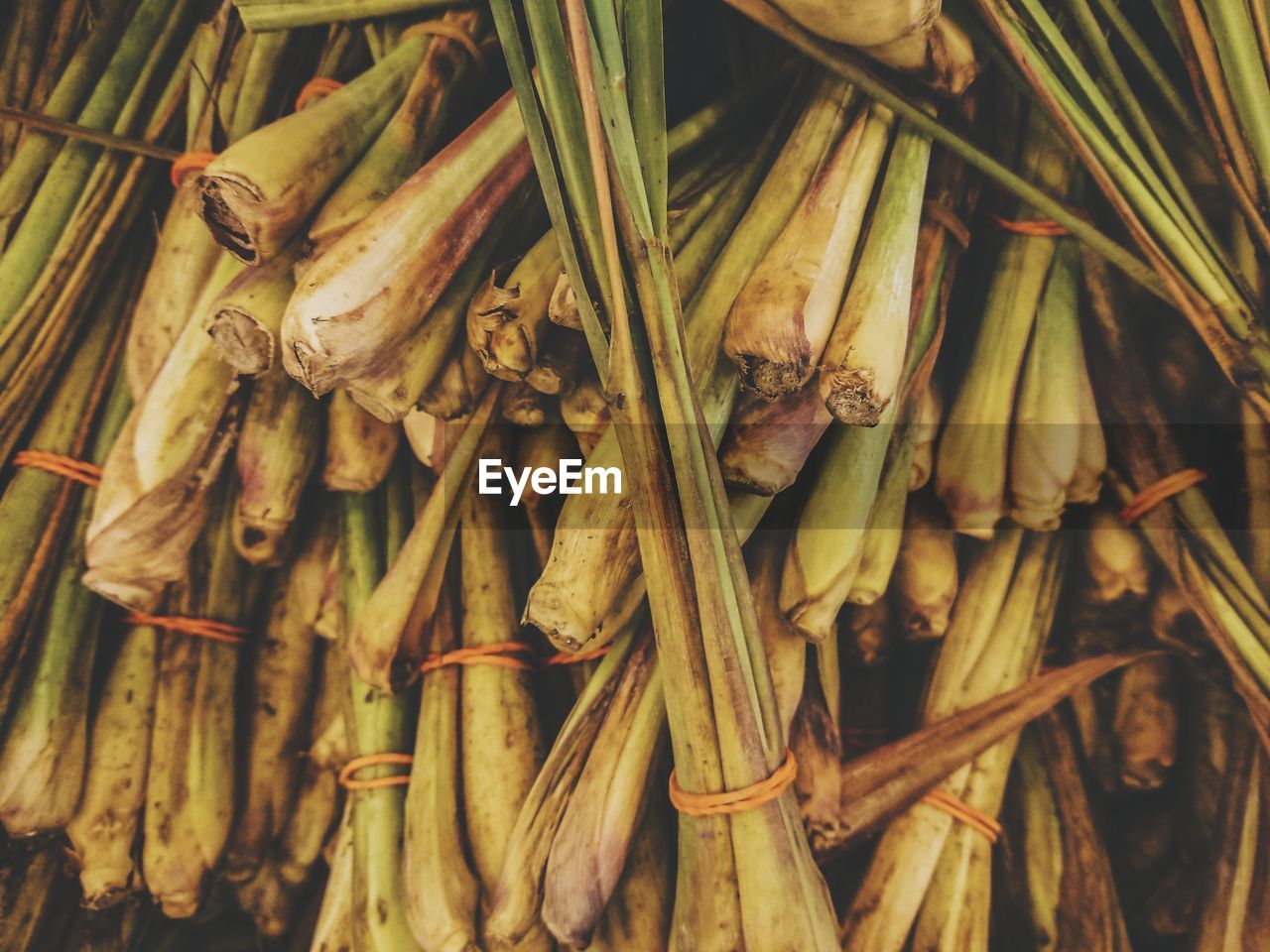 Close-up of fresh vegetables