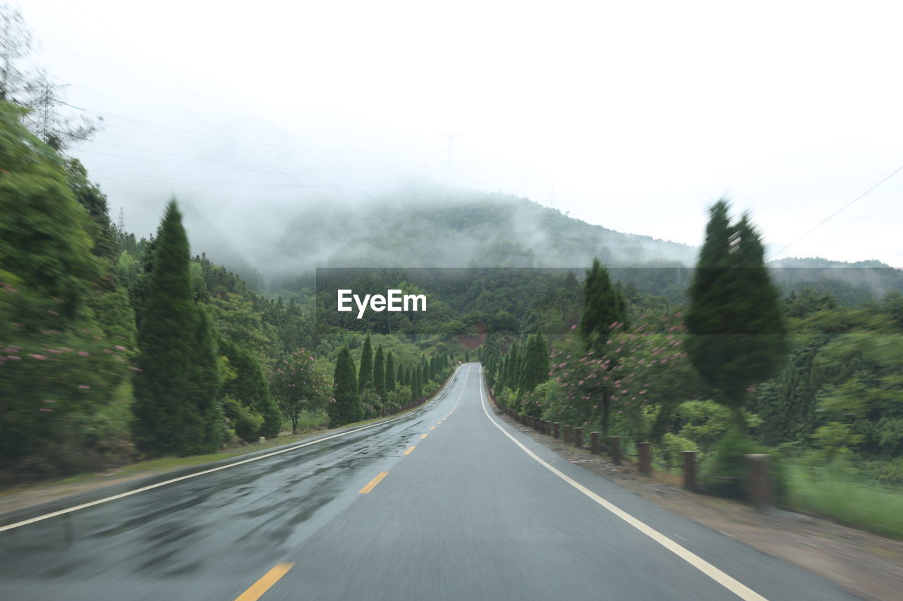 Road amidst trees against sky