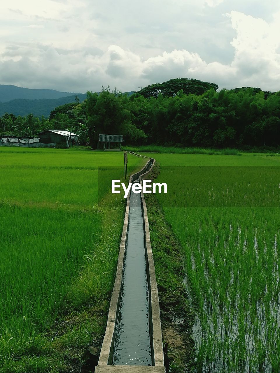 Scenic view of grassy field against sky