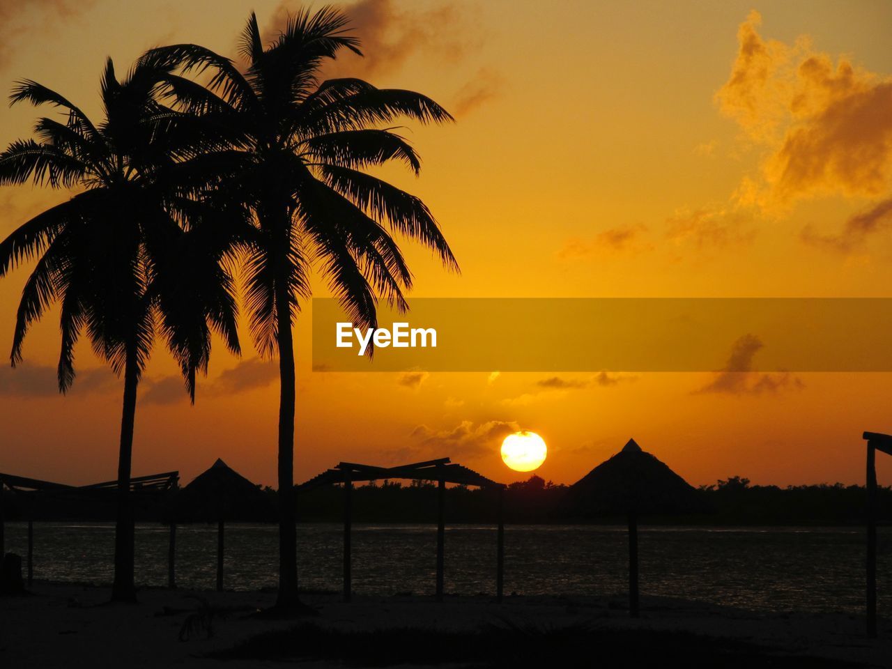 Silhouette palm trees by sea against sky during sunset