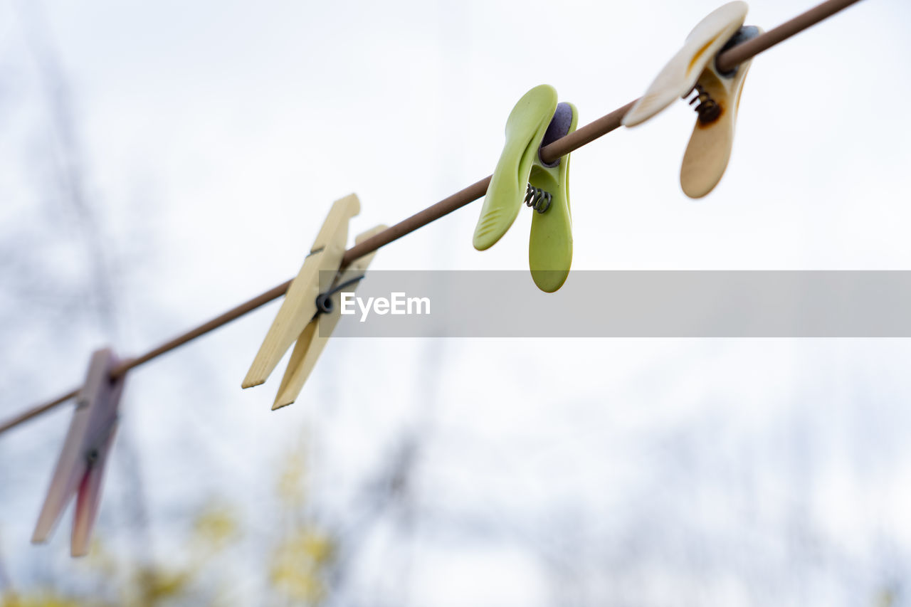 Low angle view of clothespins on branch against sky