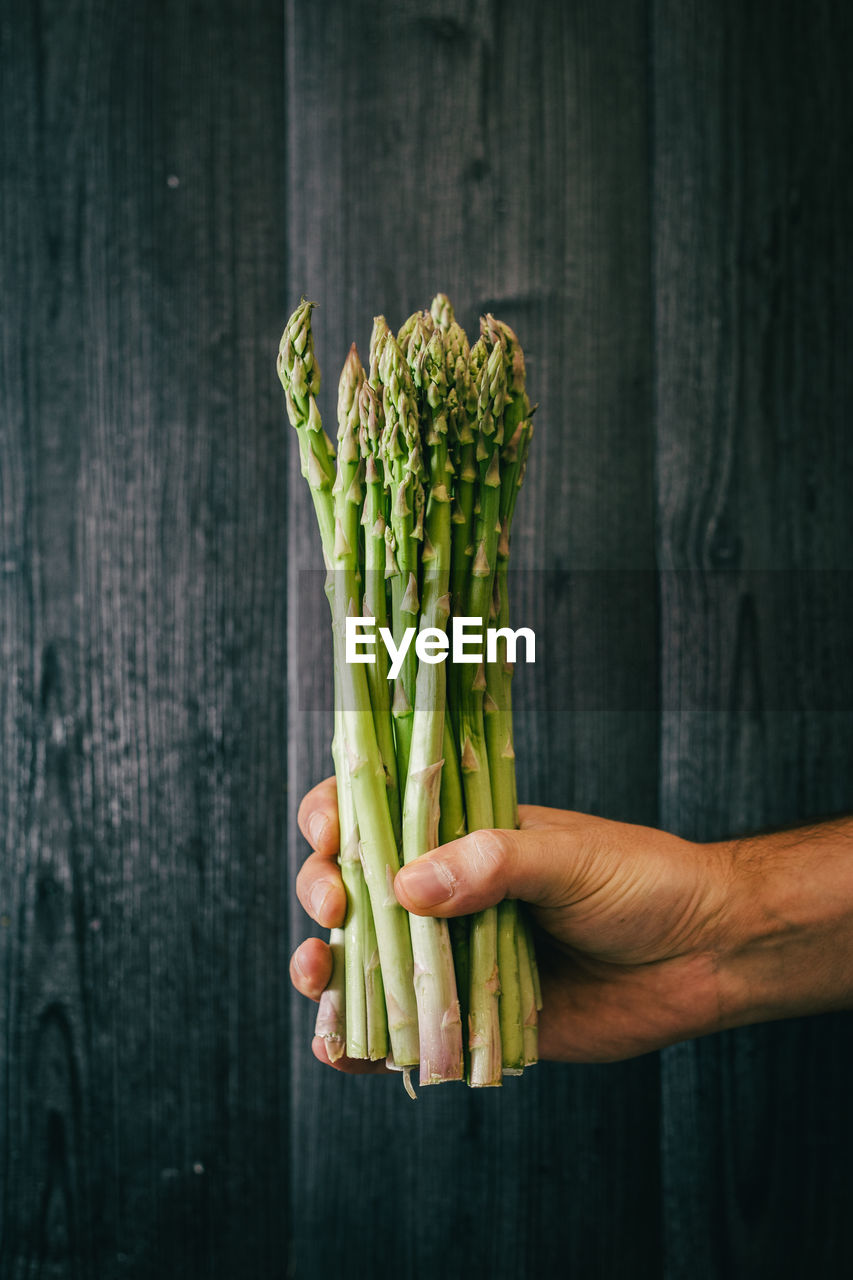 Unrecognizable person holding and showing a bunch of healthy fresh green asparagus against black lumber wall person