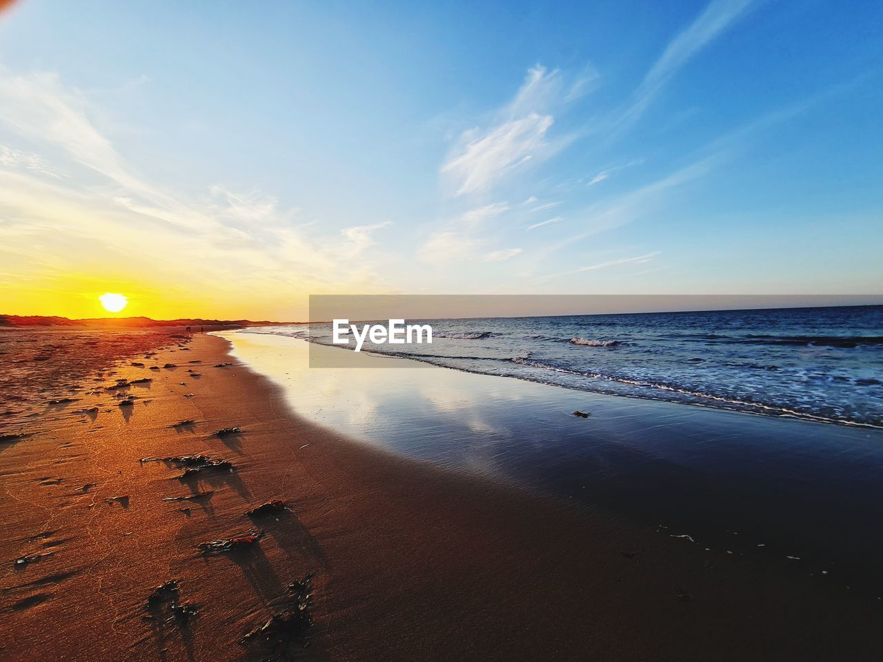 SCENIC VIEW OF BEACH DURING SUNSET