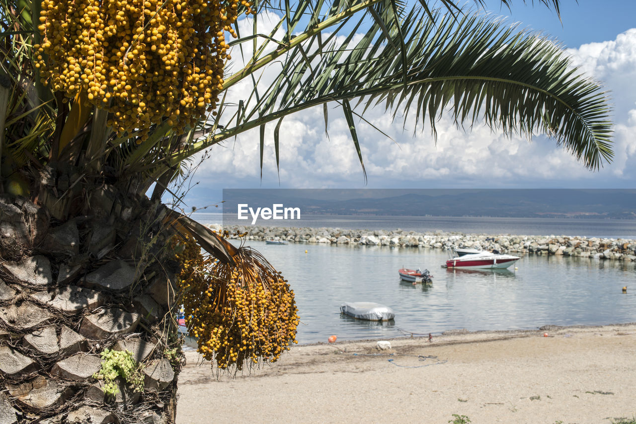 SCENIC VIEW OF SEA